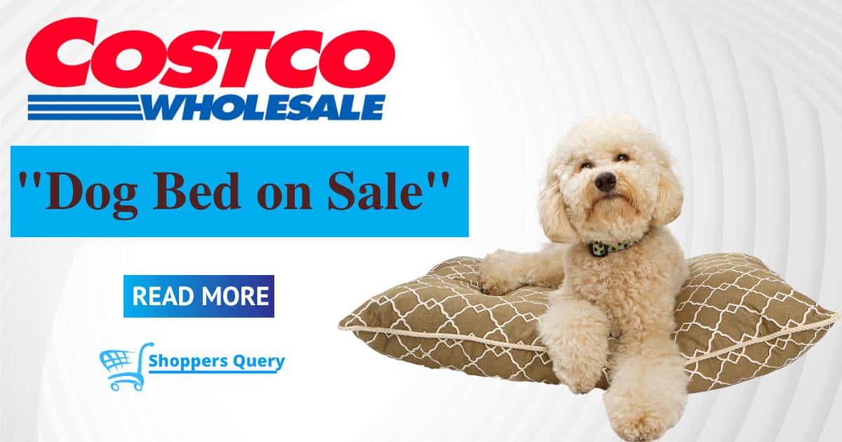 When Do Costco Dog Beds Go on Sale?